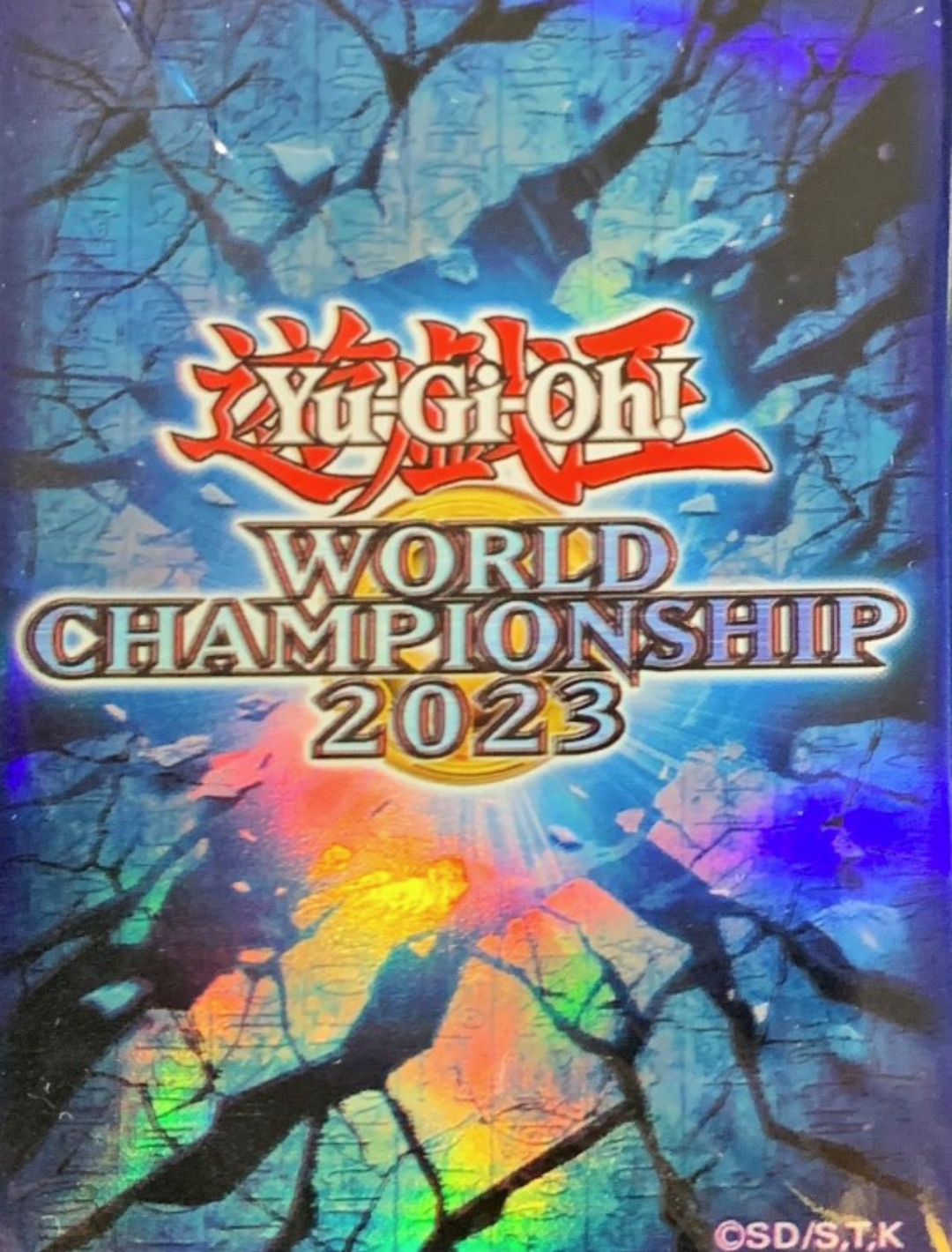 World Championship 2023 - Sleevechief