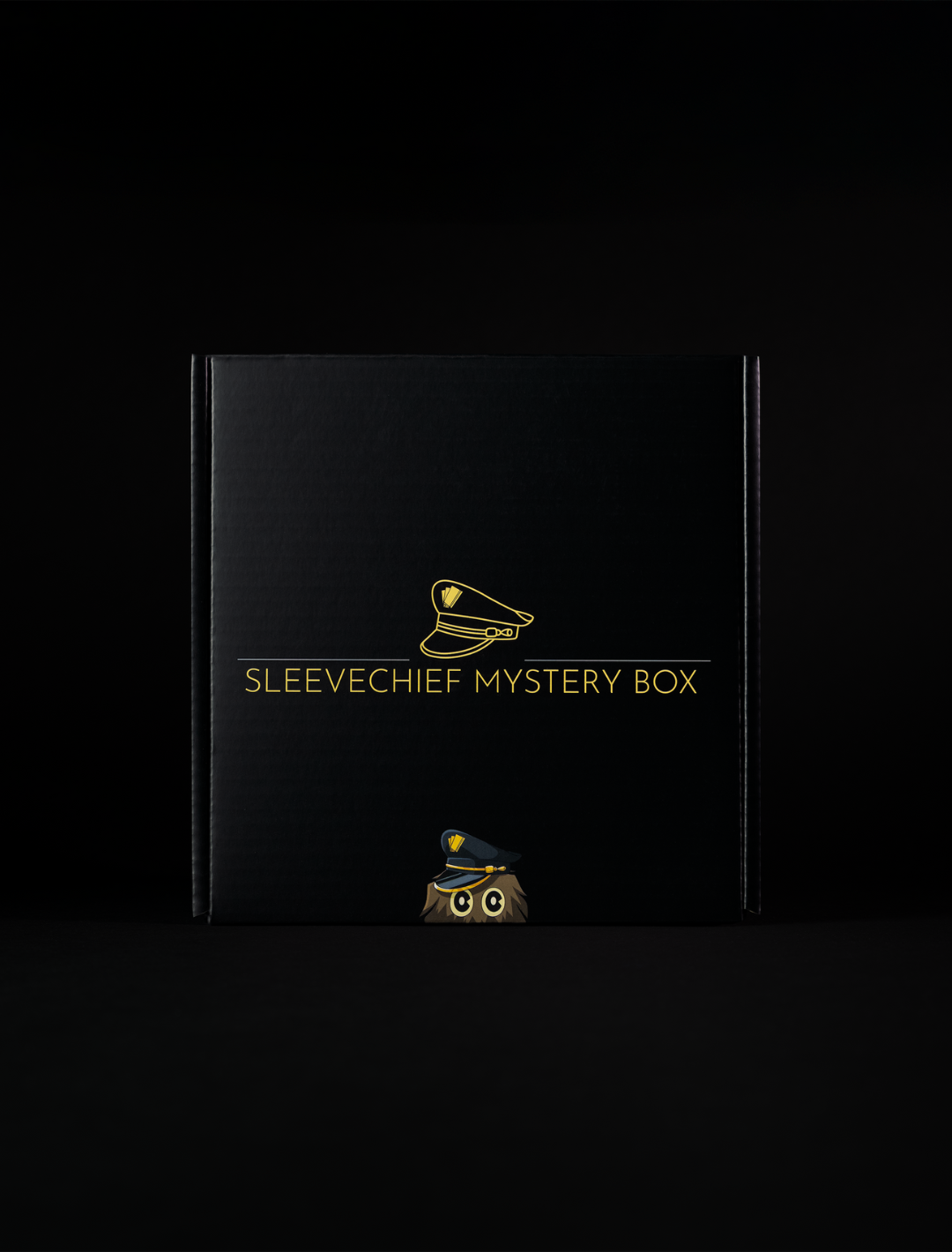 Mystery Box - sleevechief