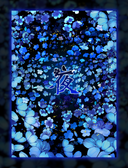 ELITE SERIES - NIGHT BLOSSOM HOLO SLEEVES (70 PCS) - sleevechief