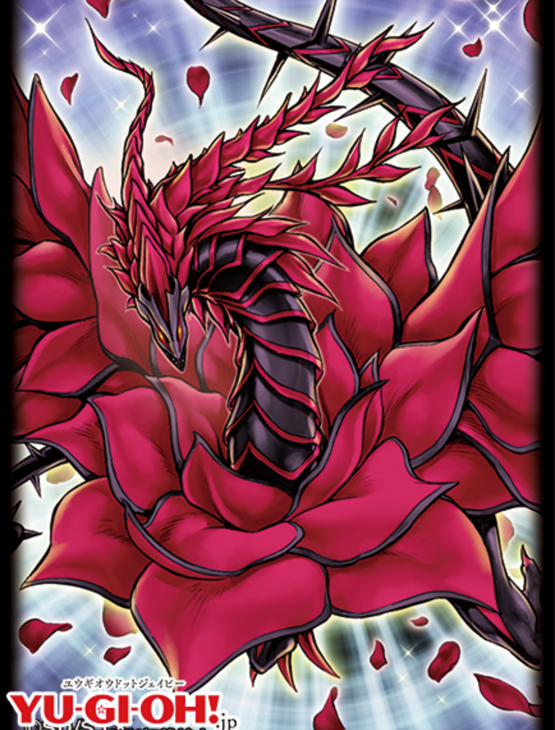 Blackrose Card Sleeves | Dragon Blackrose Card | sleevechief